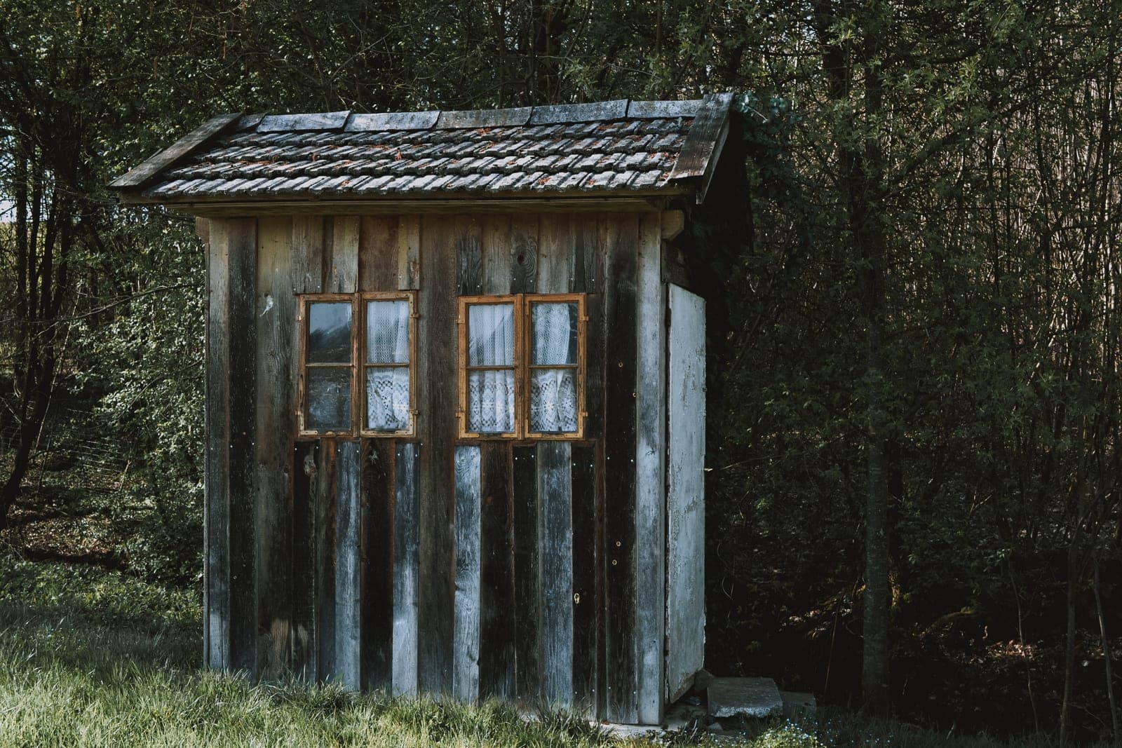 Petite cabane en bois au milieu de la forêt
